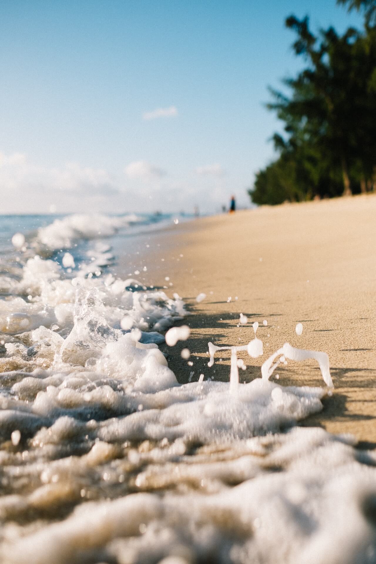 Small wave crashing on a beach with clean sand and trees in the background